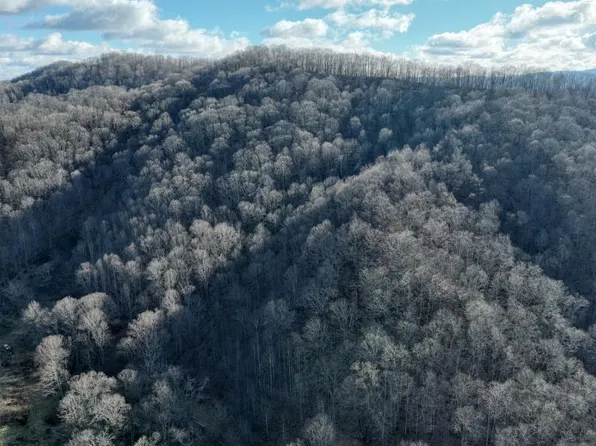 0 Goss Rd, Bluefield, VA 24605