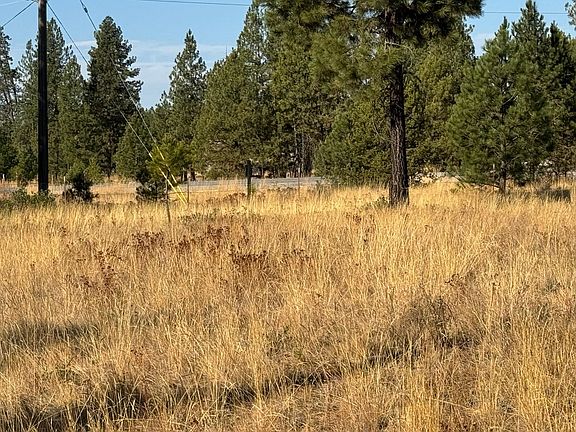 2nd image of 3792 Meadowlark Way