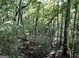 1502 Raspberry Ln, Clarkesville, GA 30523