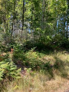 0 E Franjo Beach, Shelton, WA, 98584