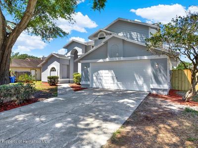 10423 Ashley Oaks Dr, Riverview, FL, 33578