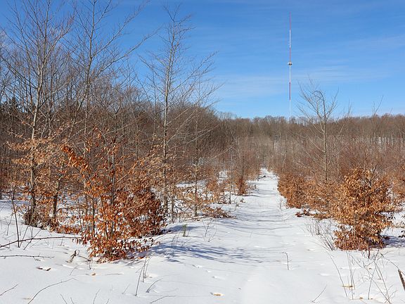 4th image of Walker Rd NW