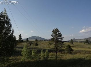 1161 Bristlecone Rd, Guffey, CO 80820