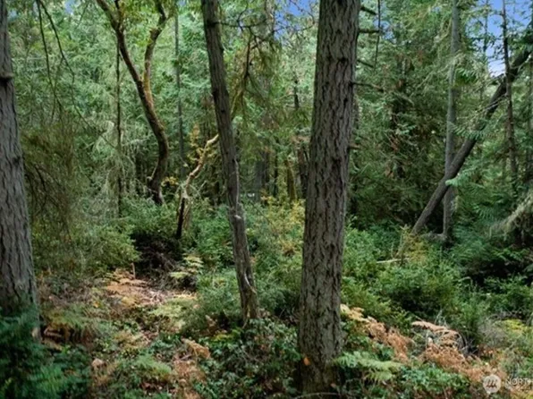 11106 Spruce Dr, Anderson Island, WA 98303