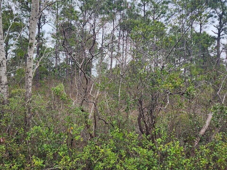 2nd image of Tbd Greenview Ranches