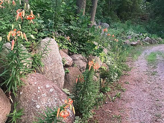 road around and down to lake