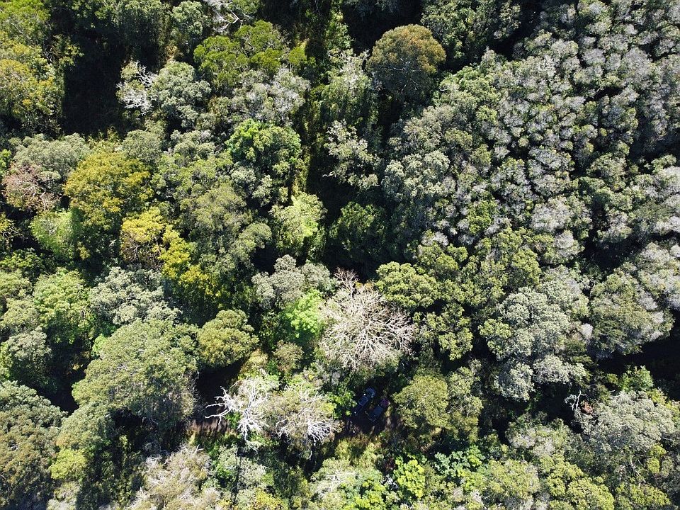 433735 Aina Ui Rd, Paauilo, HI 96776 Zillow