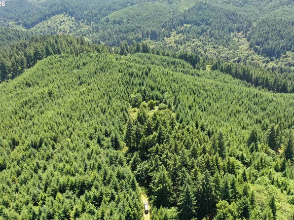 High Pass Rd #Tl300, Junction City, OR 97448