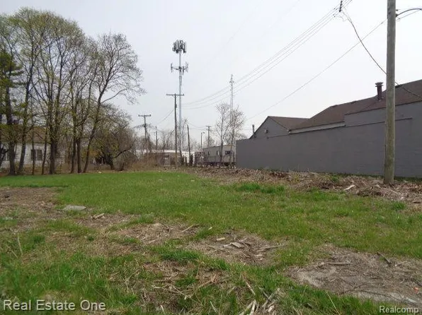 11638 Saint Louis St, Hamtramck, MI 48212