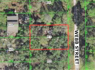 11125 Webb St, New Port Richey, FL 34654