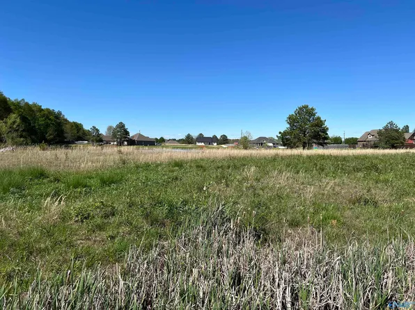 LOT 1 County Road 324, Moulton, AL 35650