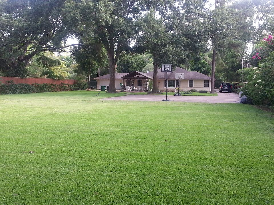 Whole view Back yard 