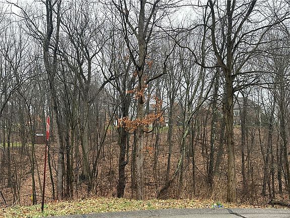3rd image of LOT 2 Woodhaven Dr