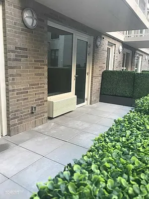 Rented by Corcoran | media 38