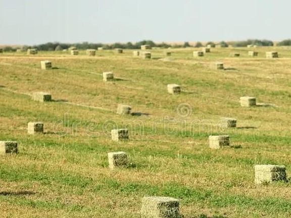 4th image of Clarence Rd