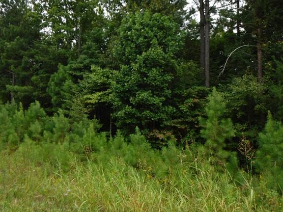 5th image of 1627AC Hanging Limb Hwy