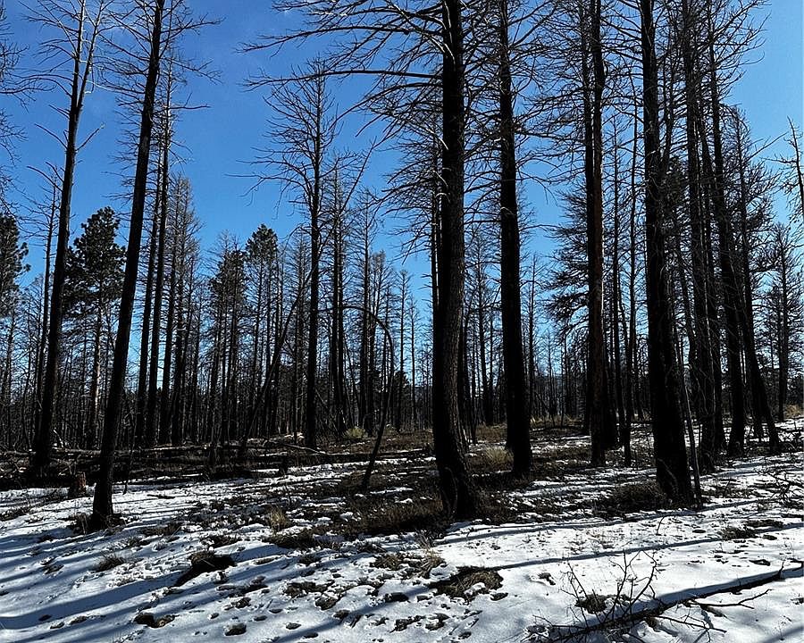 1st image of 586 Leslie Loop