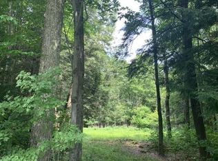 0 Austin Rd, Jefferson, NY 12093