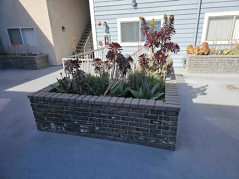 Sherman Way — Photo 45