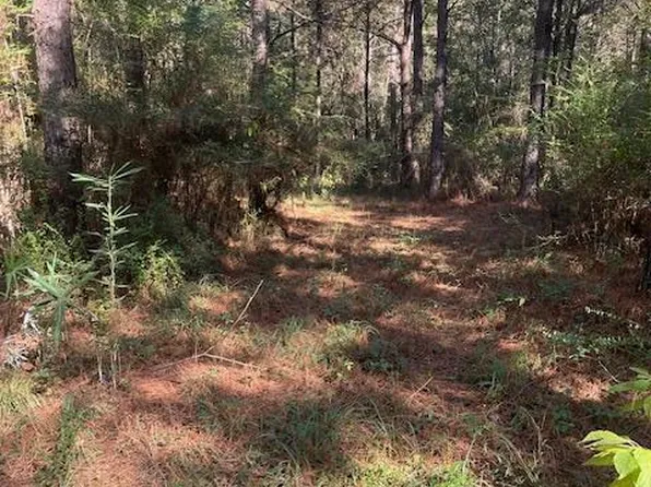 0 Highway 529, Taylorsville, MS 39168