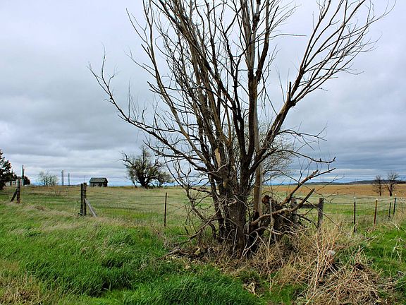 4th image of 18965 County Road 55