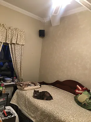 Rented by Amorelli Realty | media 21