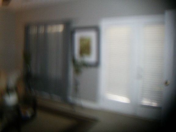 living windows