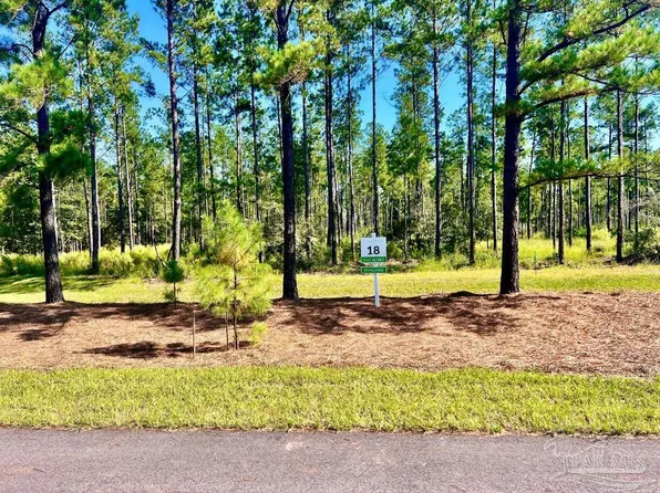 LOT 18 Pine Preserve Ln, Jay, FL 32565