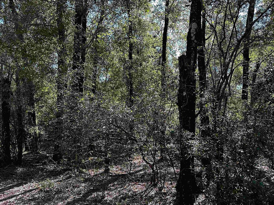 2nd image of Clay Revell Rd