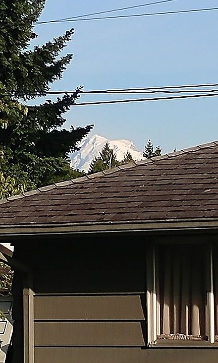 Partial view of Mt. Rainier 