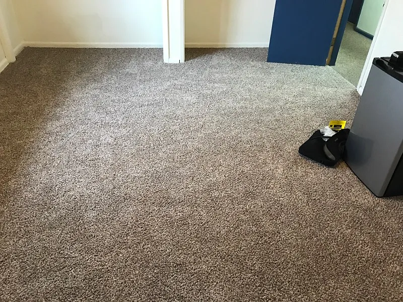 1 bed, $950 — Photo 4