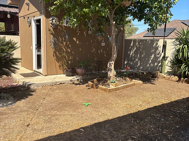 Backyard Shed