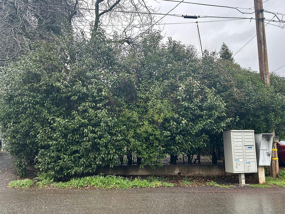 2nd image of 3929 La Mesa Ave