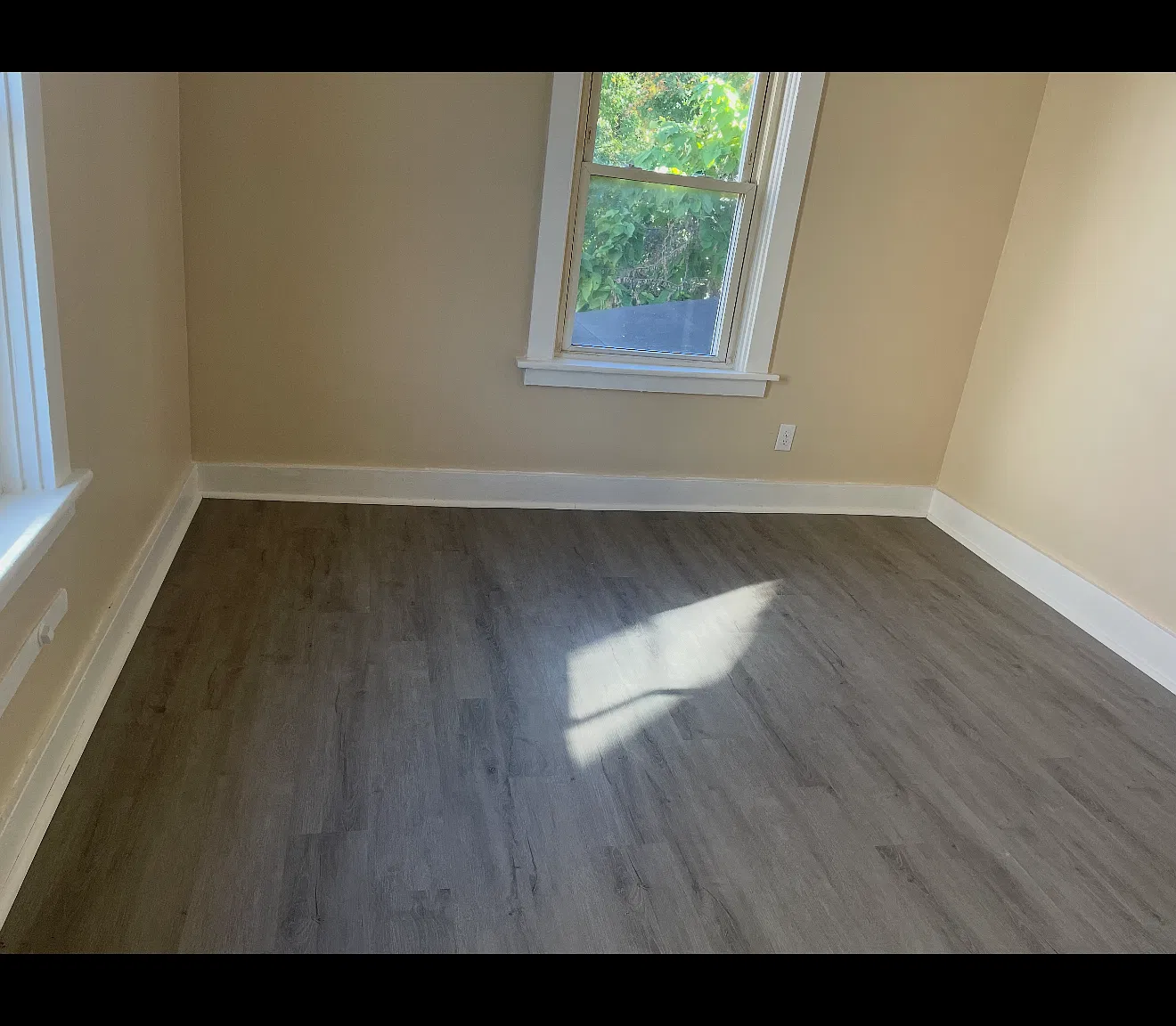 1 bed, $1,450 — Photo 2