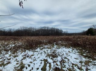 Girdled Rd, Painesville, OH 44077