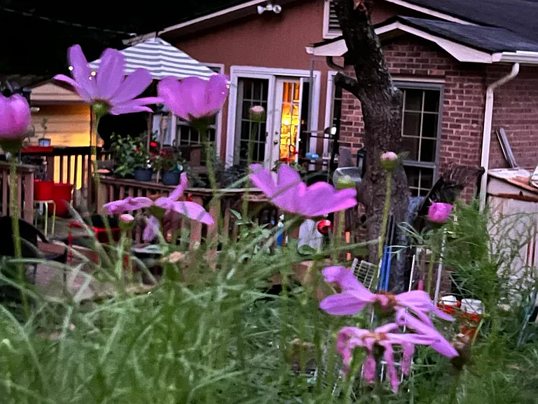 Telfair Rd — Photo 29