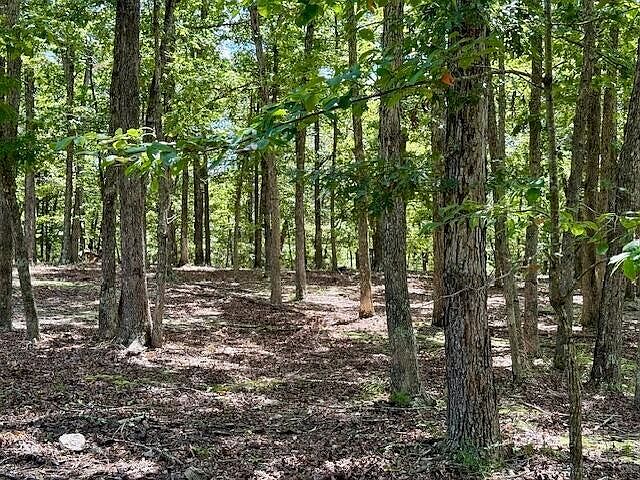 46th image of this home