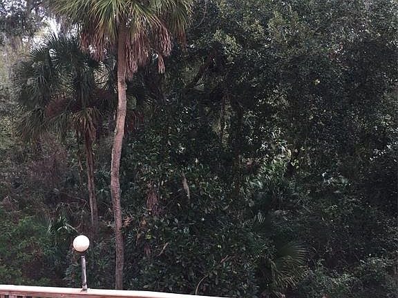 3rd image of 633 Palm Dr