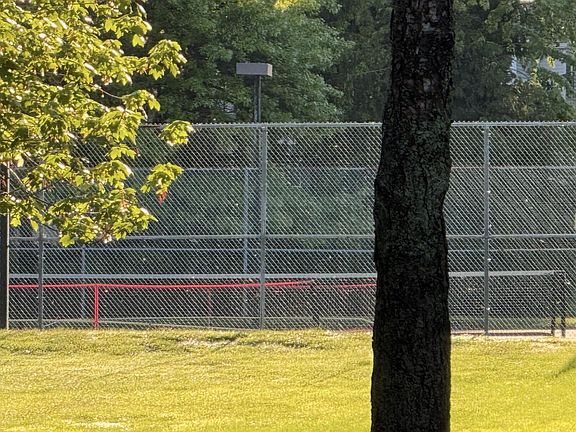 4th image of 125 Pierce Drive