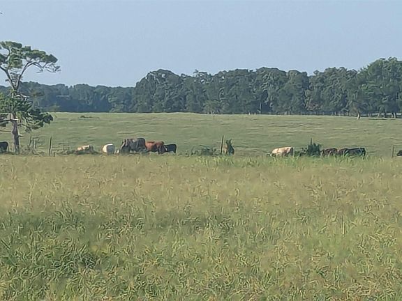 2nd image of County Road 4235