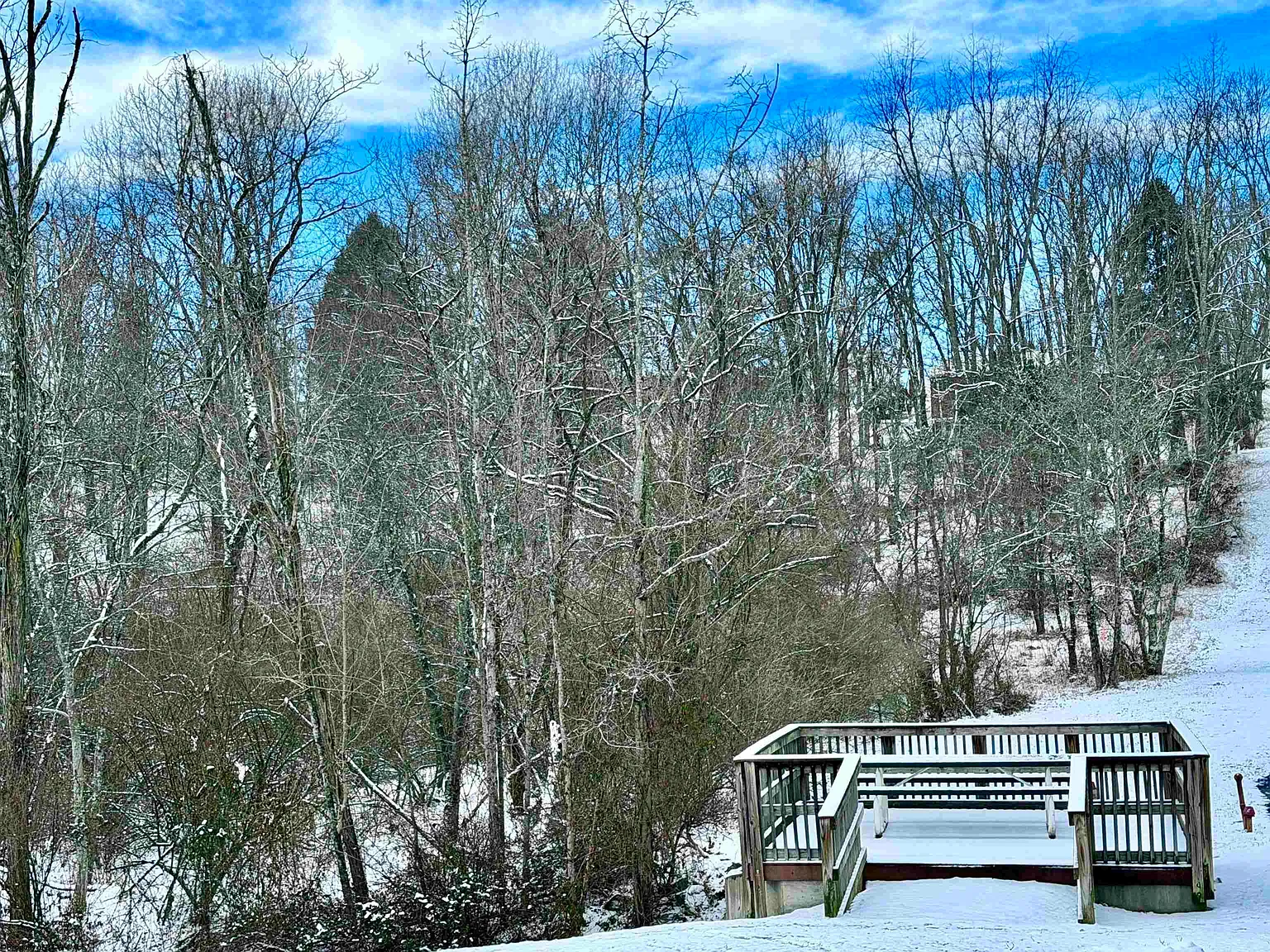 Pearcy Ave photo 1