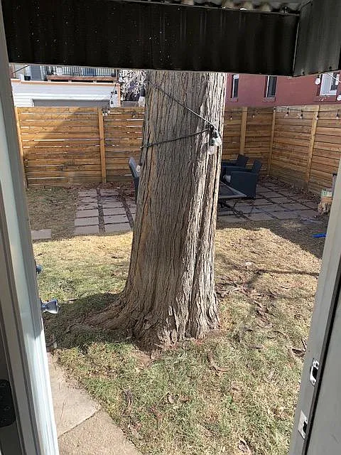 Shared fenced Back yard