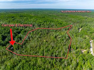 2477 Mont Gabriel Rd, Wolverine, MI 49799