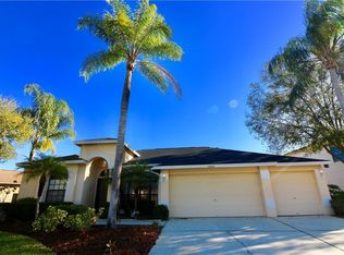 10215 Vista Pointe Dr, Tampa, FL 33635