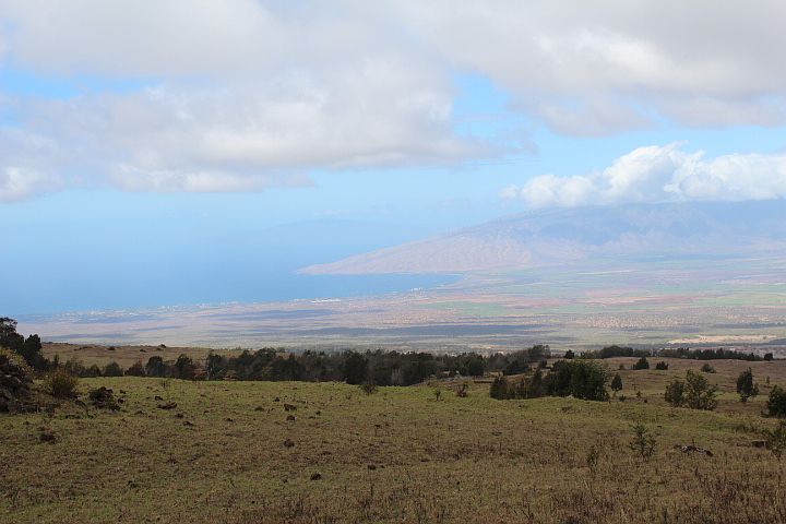 Adjacent undeveloped land