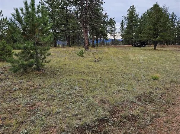 208 Eaglecrest Dr, Florissant, CO 80816