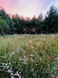 170th St, Milaca, MN, 56353