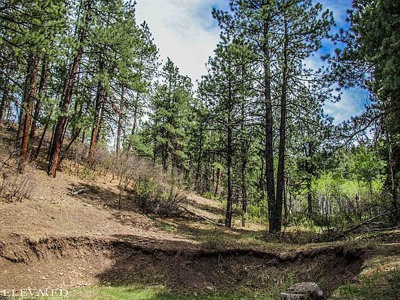 4th image of 548 Bear Creek Circle