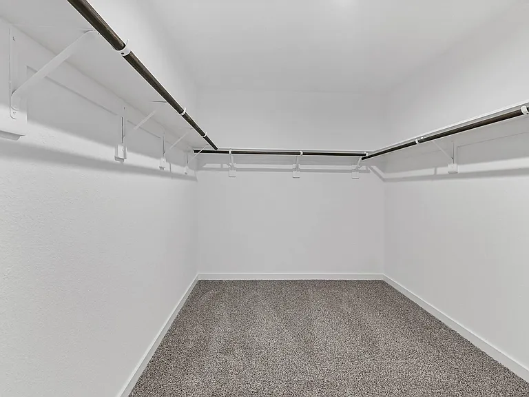 30034 Foxtail Pine Ct — Photo 19
