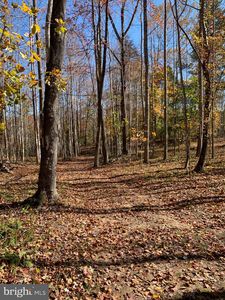 Tm 51 11a Castleton View Rd, Castleton, VA, 22716